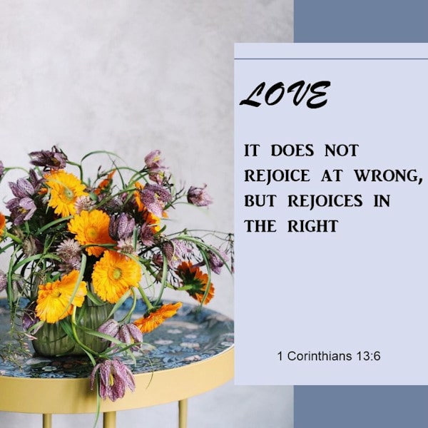 1 Corinthians 13:6