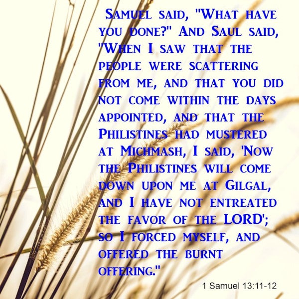 1 Samuel 13:11