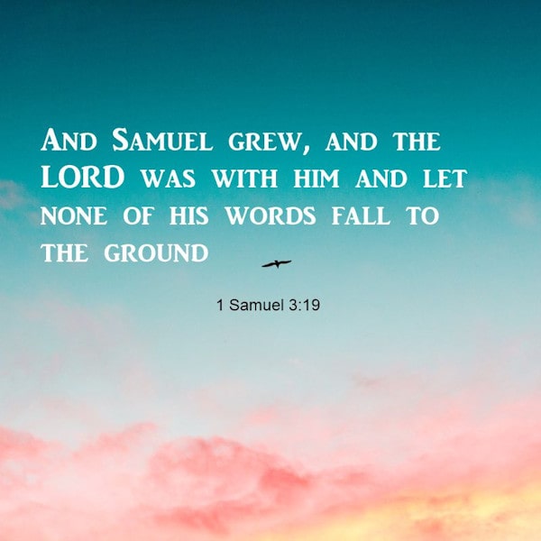 1 Samuel 3:19