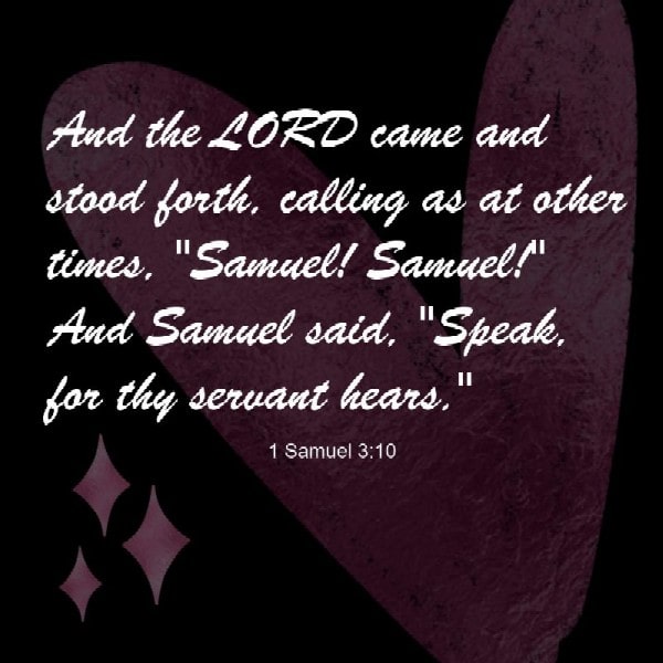 H1 Samuel 3:30