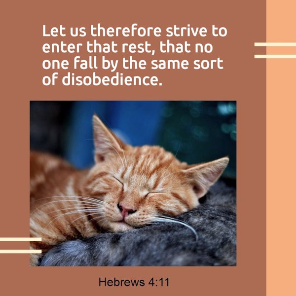 Hebrews 4:11