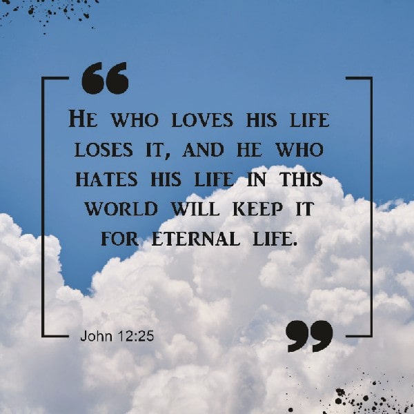 John 12:25