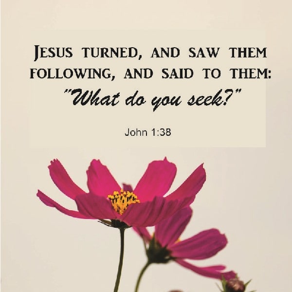 John 1:38