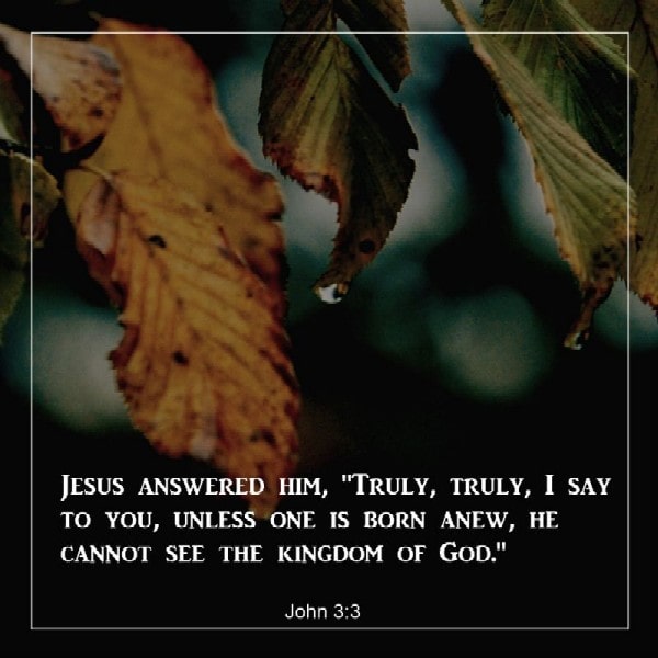 John 3:3