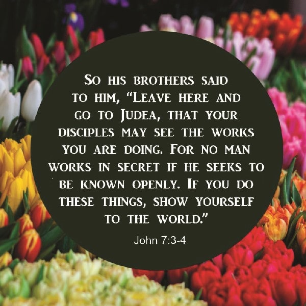 John 7:3