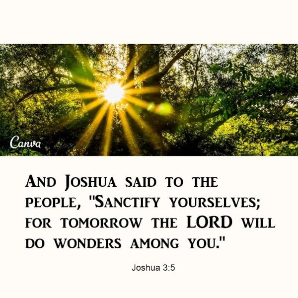 Joshua 3:5