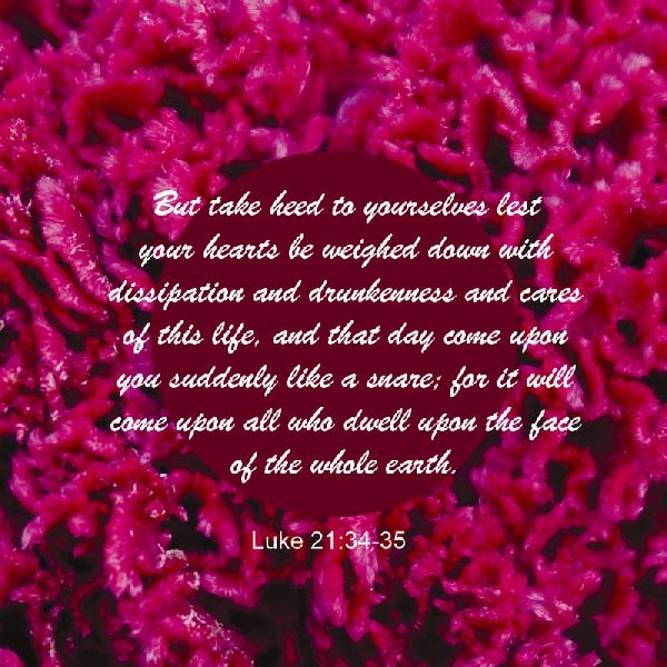Luke 21:34-35