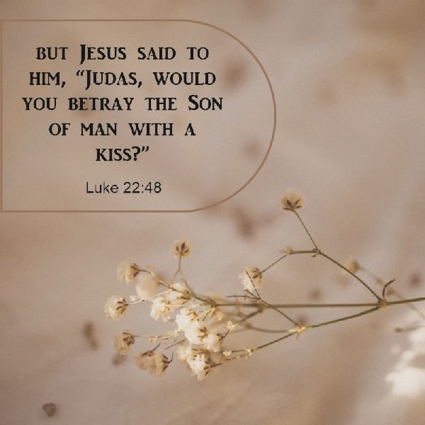 Luke 22:48