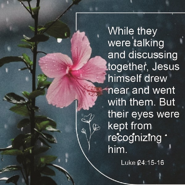 Luke 24:15-16