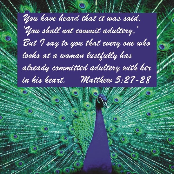 Matthew 5:27-28