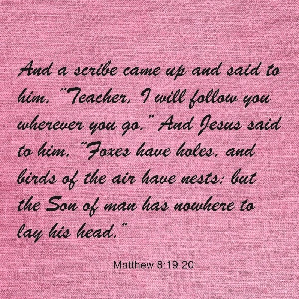 Matthew 8:19-20