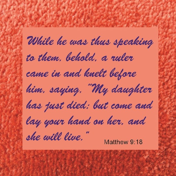 Matthew 9:18