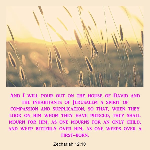 Zechariah 12:10