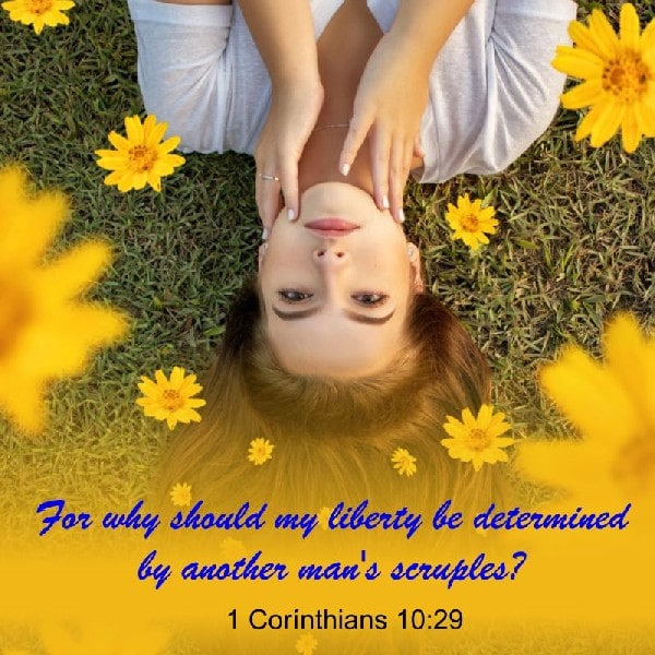 1 Corinthians 10:29