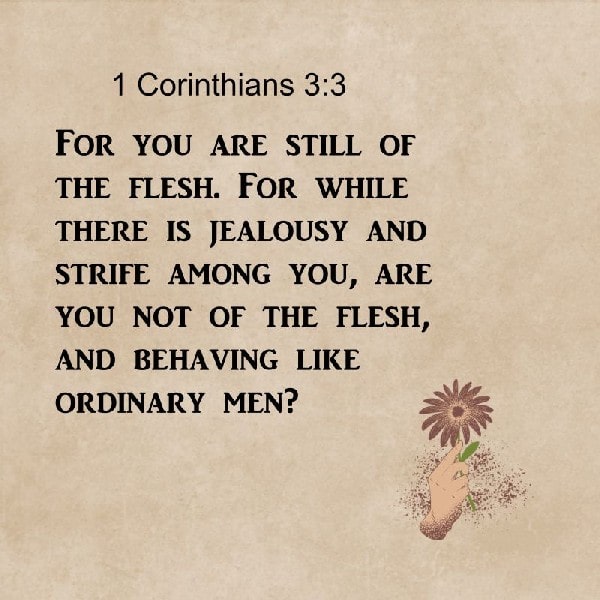 1 Corinthians 3:3