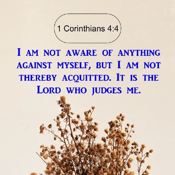 1 Corinthians 4:4