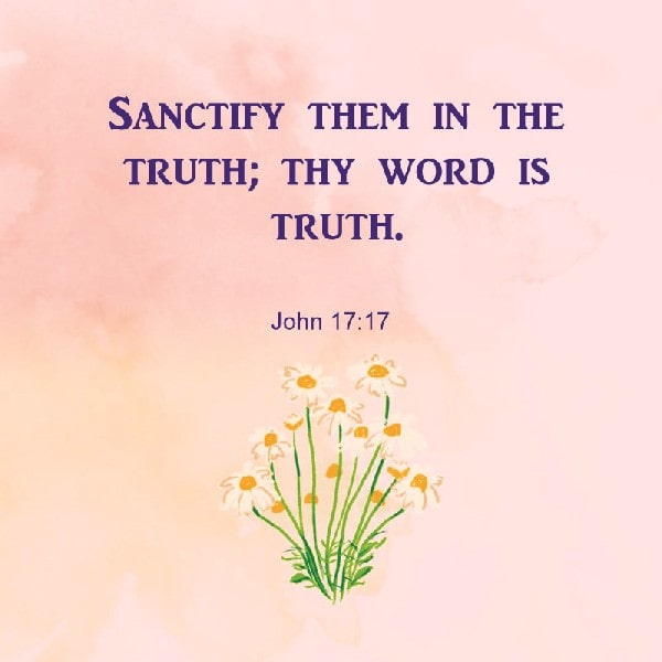 John 17:17