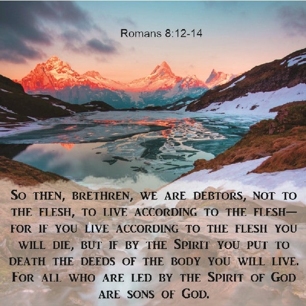 Romans 8:12-14