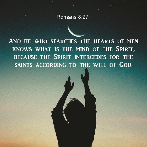 Romans 8:27