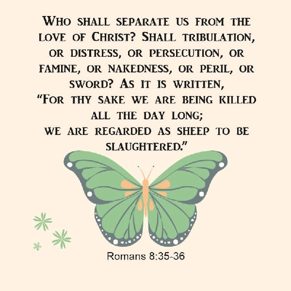 Romans 8:35-36