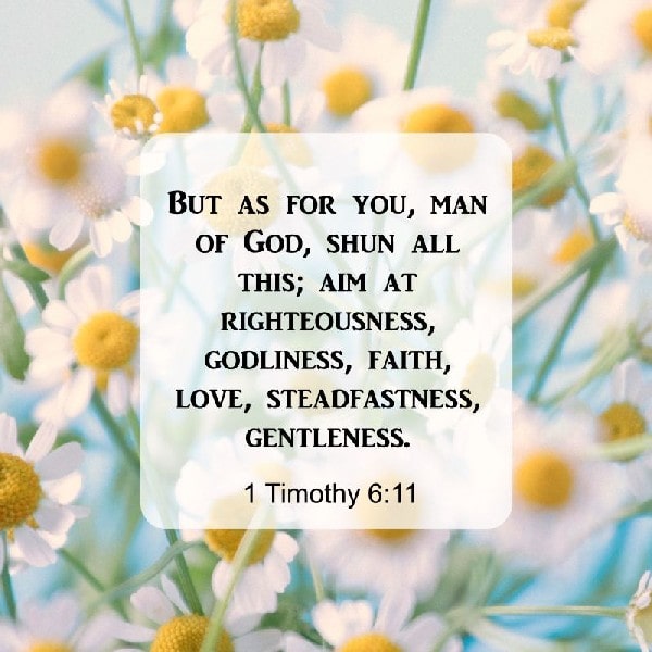 1 Timothy 6:11