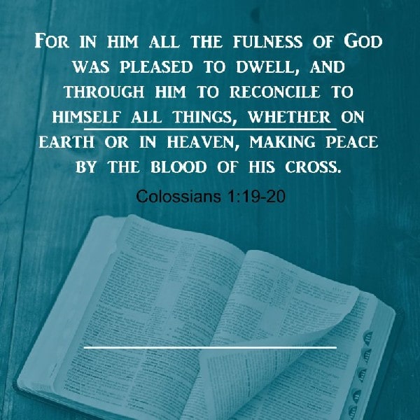 Colossians The deity was pleased to reside in Jesus Christ. God reconciles all things through the self-denial of Christ. Peace was achieved by the blood of Jesus on the Cross. Although the efficacy of blood is ridiculed and denied by scoffers, here it is exalted.</p>
<p>We have in verses 19:20 THE PLAN OF SALVATION:<br>
1- Who saves (God)<br>
2- What does He do to save, (v20) Sends Jesus<br>
3- How does He do it (Jesus dies shedding His blood)<br>
4- Why? Because it pleased God the Father (John 8:9)