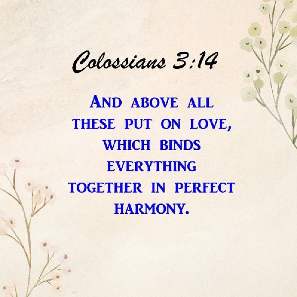 Colossians 3:14