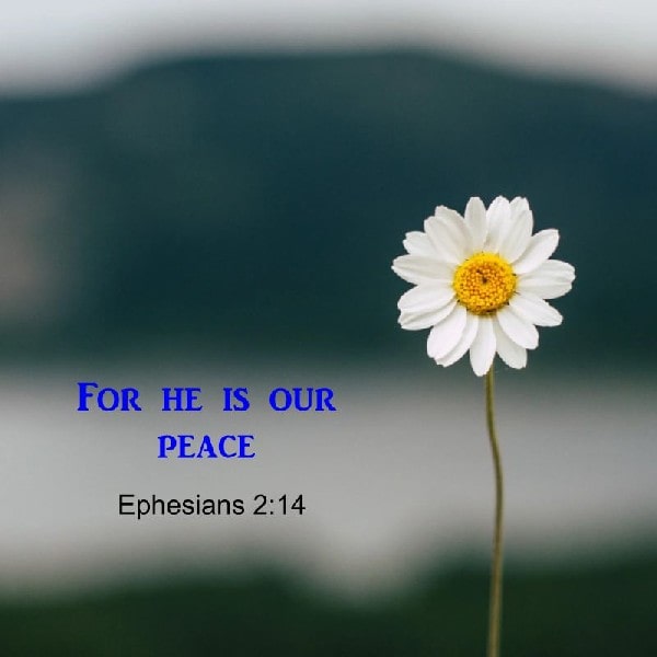 Ephesians 2:14