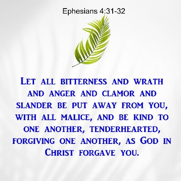 Ephesians 4:31-32
