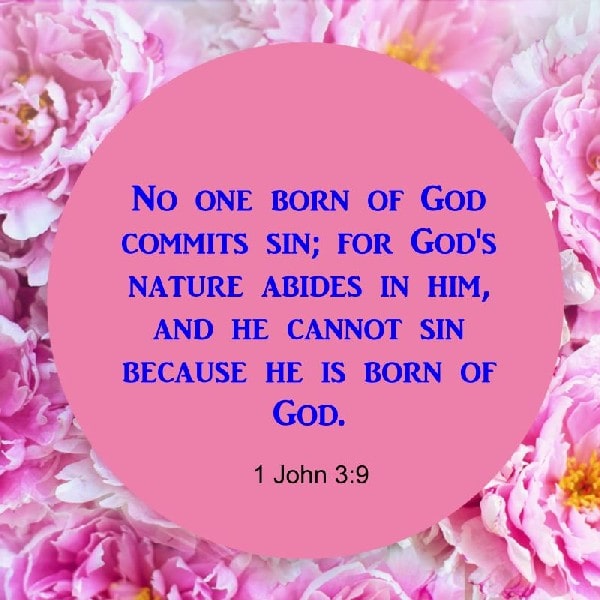 1 John 3:9