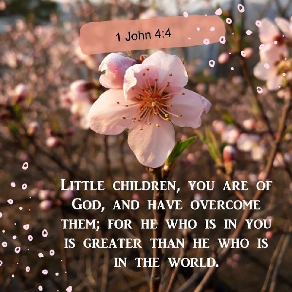 1 John 4:4
