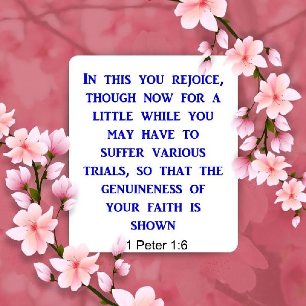 1 Peter 1:6