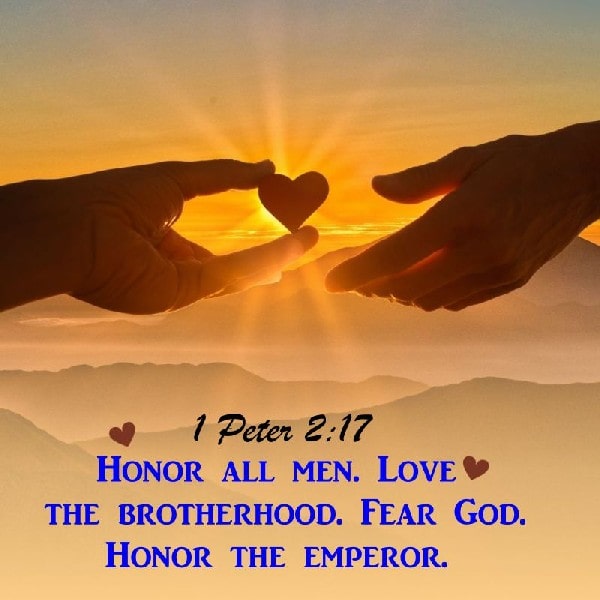 1 Peter 2:17