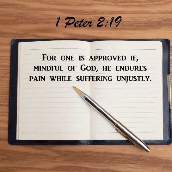 1 Peter 2:19