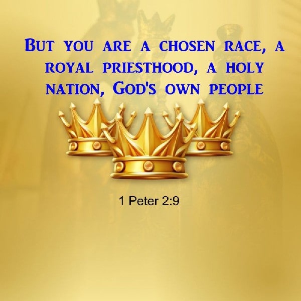 1 Peter 2:9
