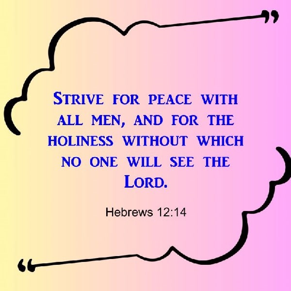 Hebrews 12:14