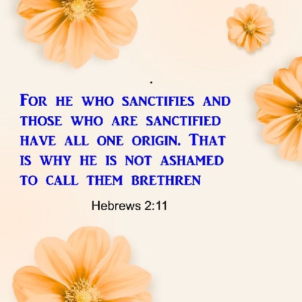 Hebrews 2:11