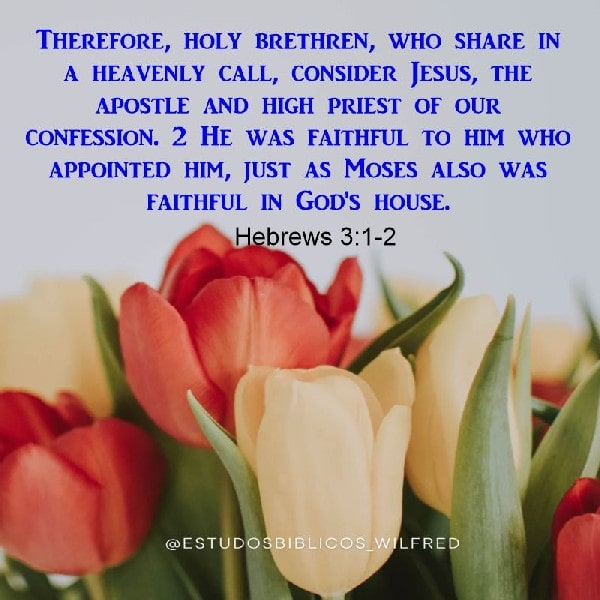 Hebrews 3:1-2