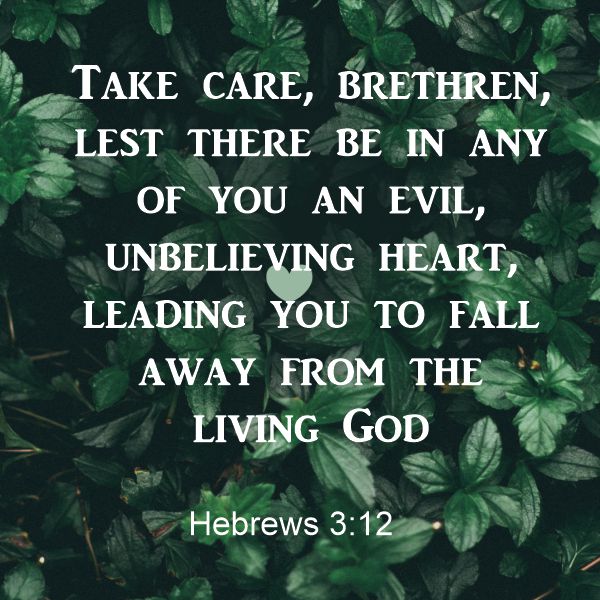 Hebrews 3:12