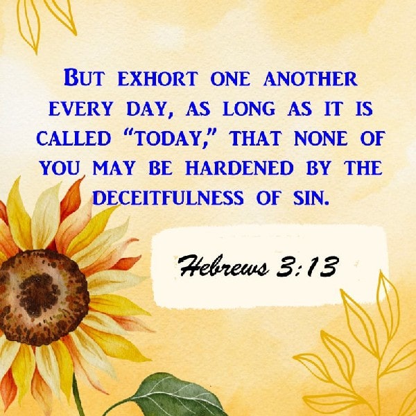 Hebrews 3:13