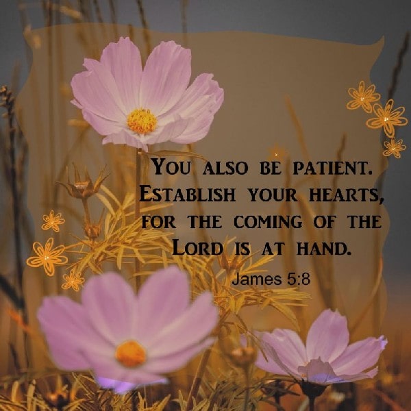 James 5:8