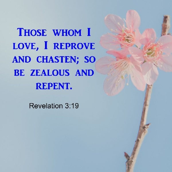 Revelation 3:19