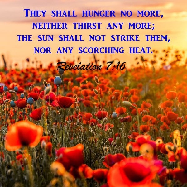 Revelation 7:16-17