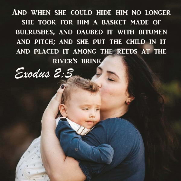 Exodus 2:3