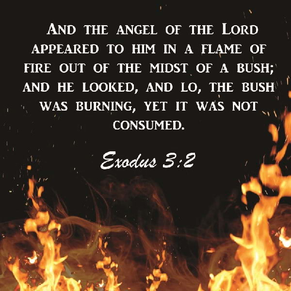 Exodus 3:2