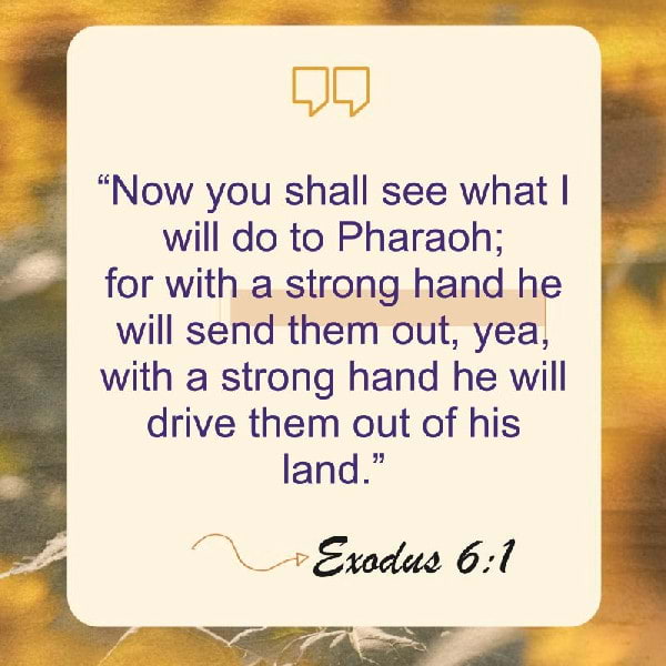 Exodus 6:1
