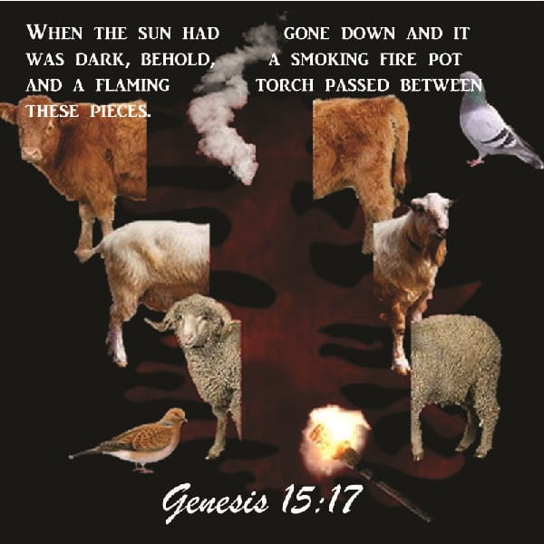 Genesis 15:17