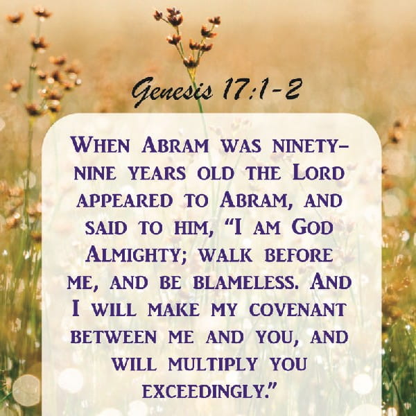 Genesis 17:1-16