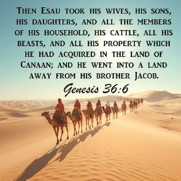 Genesis 36:6