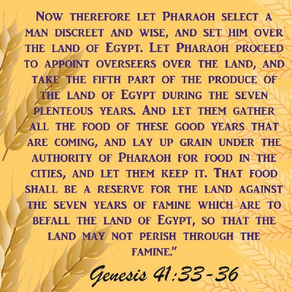 Genesis 41:33-36